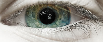 Eye