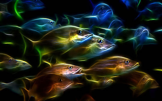 Cooking Fish This Way Protects Brain From Gray Matter Loss With Age Cooking Fish This Way Protects Brain From Gray Matter Loss With Age