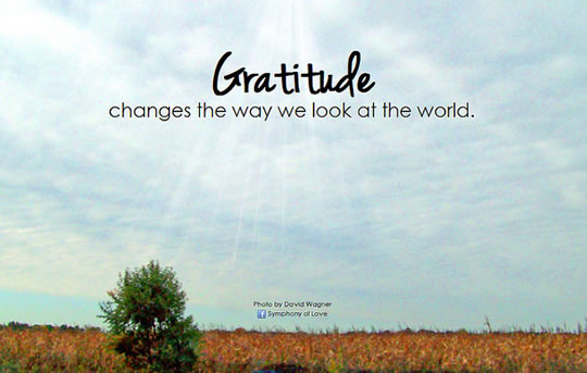 10 Ways Gratitude Can Change Your Life & 4 Step Gratitude Plan - PsyBlog