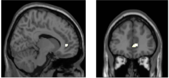 This is What Heavy Multitasking Could Be Doing To Your Brain