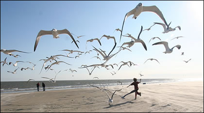 Beach Running