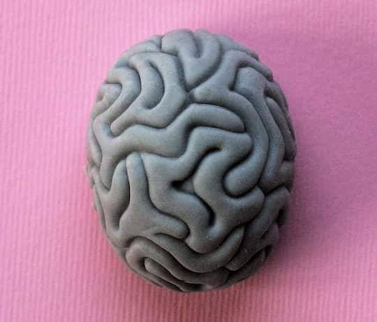 The Brain’s Shape Predicts Thoughts, Feelings & Behaviours (M)