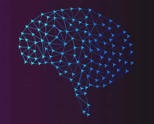 The Stage Of Life When The Brain Is Most Sensitive (M)