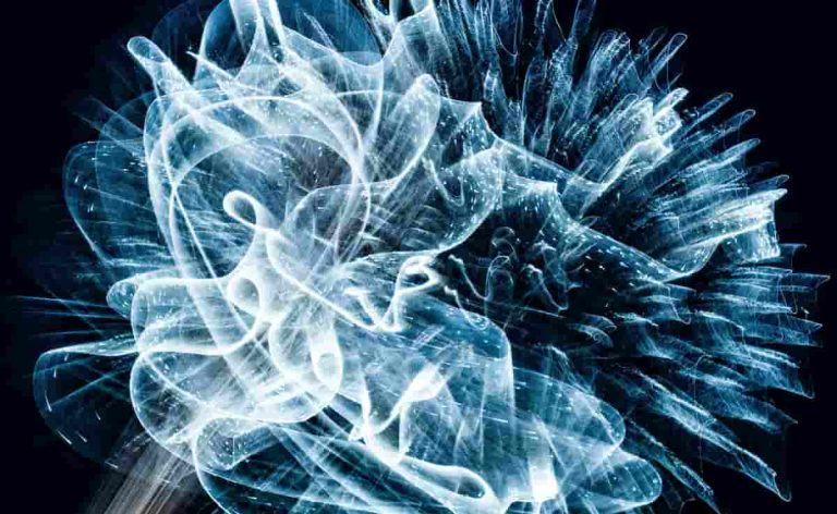 This Major Depression Treatment Works Where Other Therapies Fail (M)