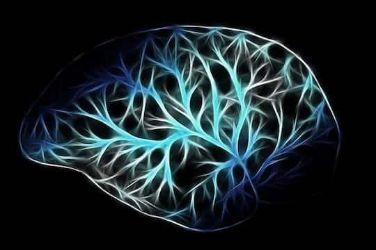 How Body Weight Affects Blood Flow In The Brain (M)