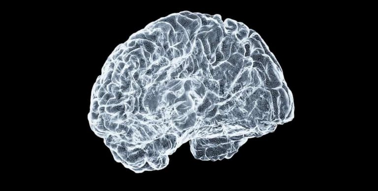 The Everyday Snack That Boosts Older Adults’ Brain Function (M)