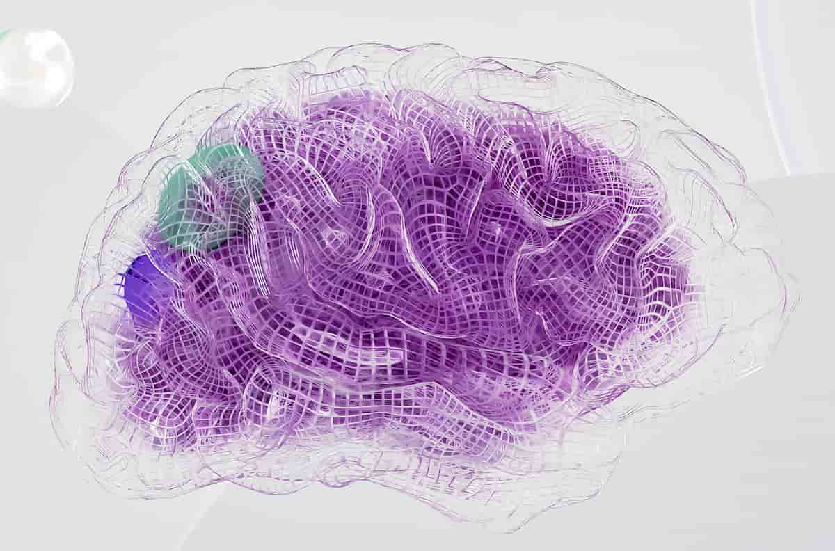 The Brain Can Adapt To Injury — But Not By ‘Rewiring’ Itself (M)