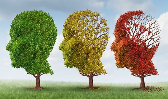 2 Natural Supplements Together Halves Risk of Mild Cognitive Impairment Becoming Alzheimer’s post image