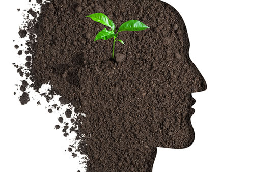 New Dementia Treatment Triggers Brain Cell Growth 