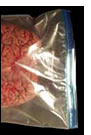 Brain in a Bag