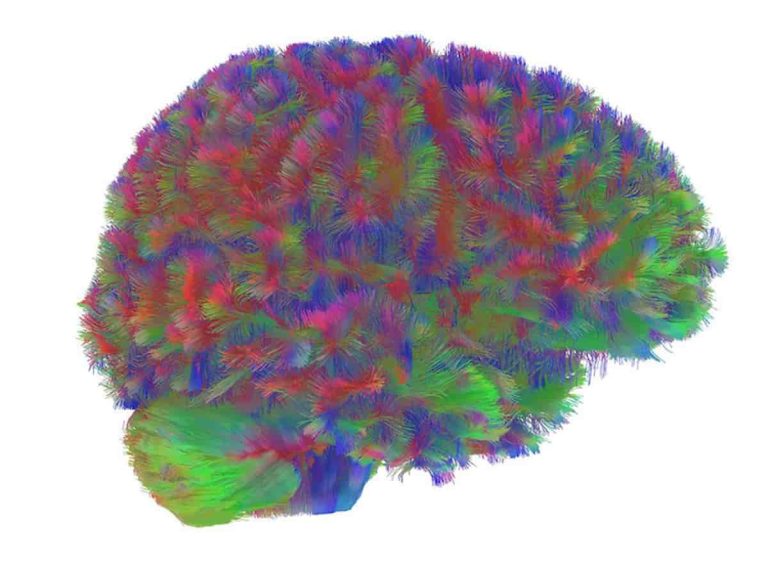 The 4 Turning Points In Your Brain’s Development Occur At These Ages (M)