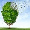 signs of Alzheimer's