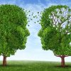 dementia risk