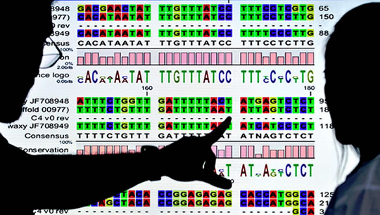 Genetic Trigger Discovered For Most Common Form of Mental Disability and Autism