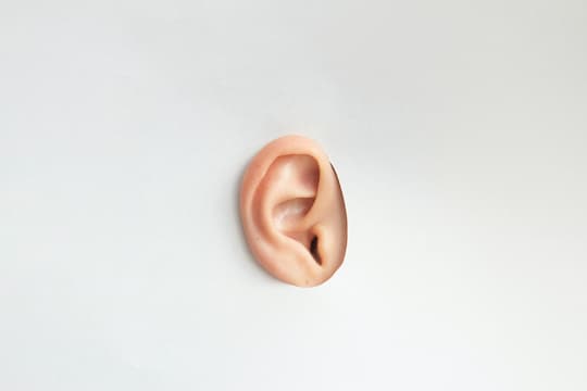 earworm