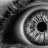 panic attack symptoms