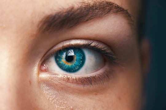 The Sign In Your Eyes That Reveals Higher IQ post image