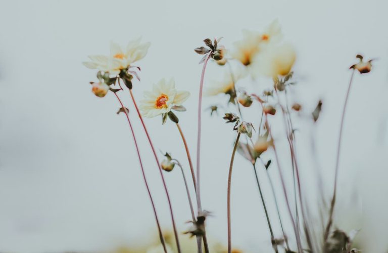 This Simple Living Secret Is Making People Happier Than Ever (M)