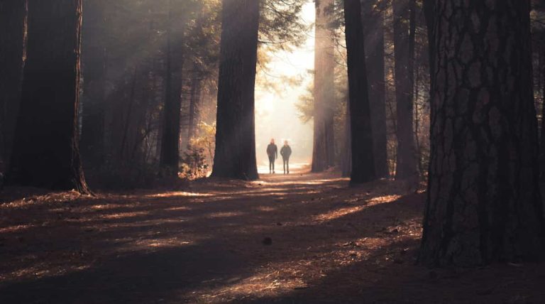 How Nature Promotes A Deeper Sense Of Wellbeing (M)