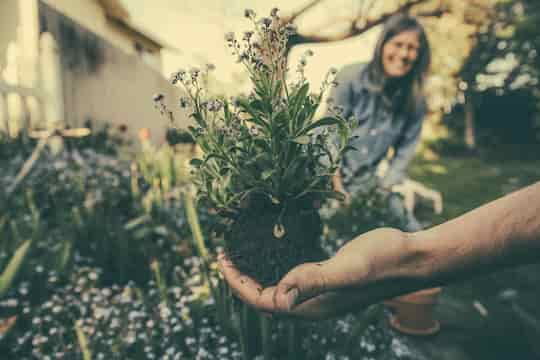 This Type Of Gardening Makes People Happiest