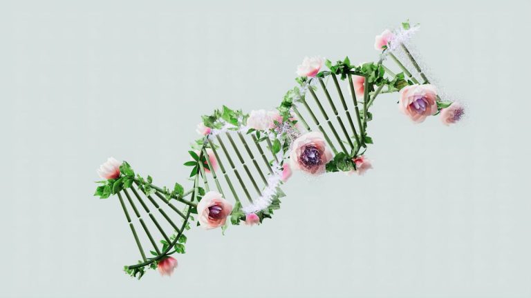 The Genetic Link Between Mental Disorders And Creativity (M)