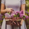 acts of kindness