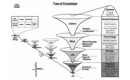 Tree of Knowledge