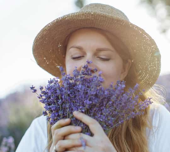 The Smell Of Lavender Reduces Anxiety