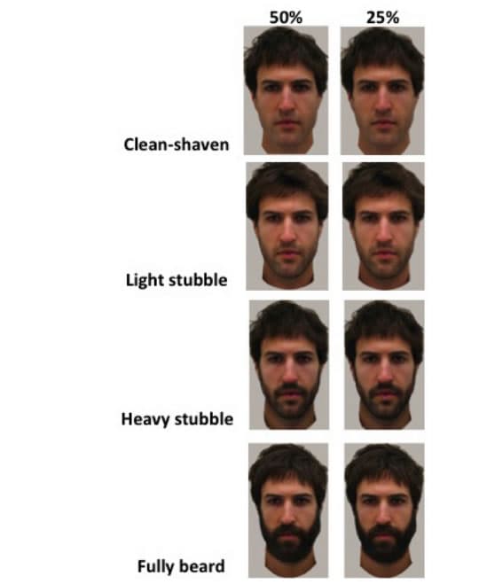 Beards may boost men's attractiveness