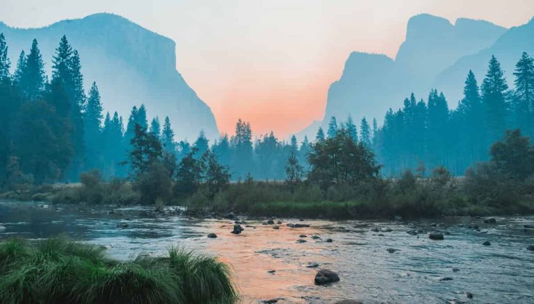 Nature: 10 Beautiful Ways It Heals & Transforms The Mind (P)