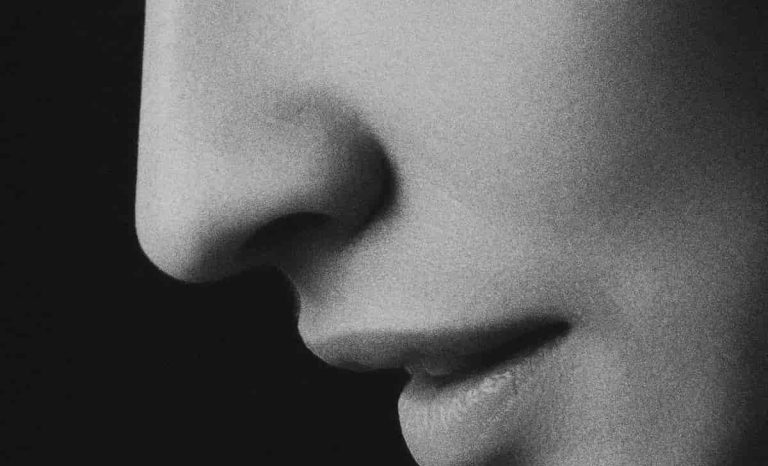 How A Quick Sniff Could Predict Your Next Best Friend (M)