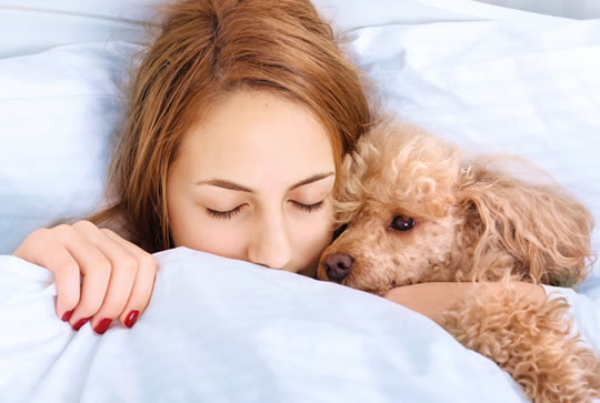 Pets In Bed: Study Reveals If It Helps or Hurts Sleep