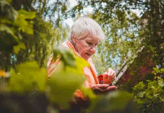 COVID-19 Symptoms Are Different In Older People
