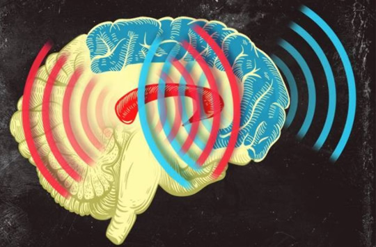 Humming in Sync: How Our Brains Can Learn So Quickly